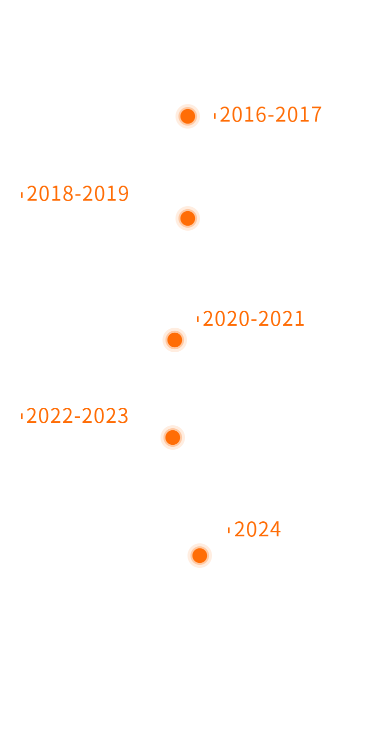 发展历程