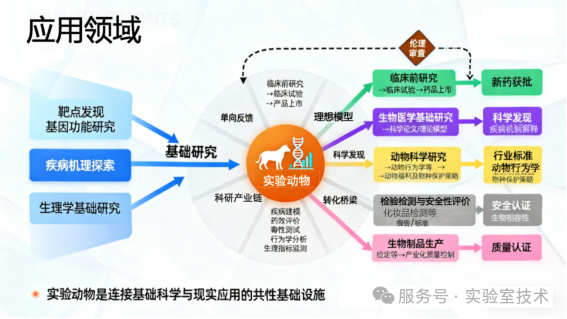 动物实验室设计建设.png